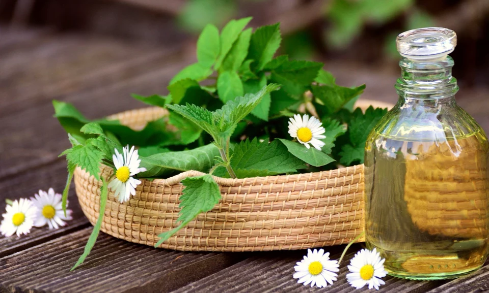 Naturheilkunde mit Sarani S. Göpfrich Naturheilkunde mit Sarani S. Göpfrich
